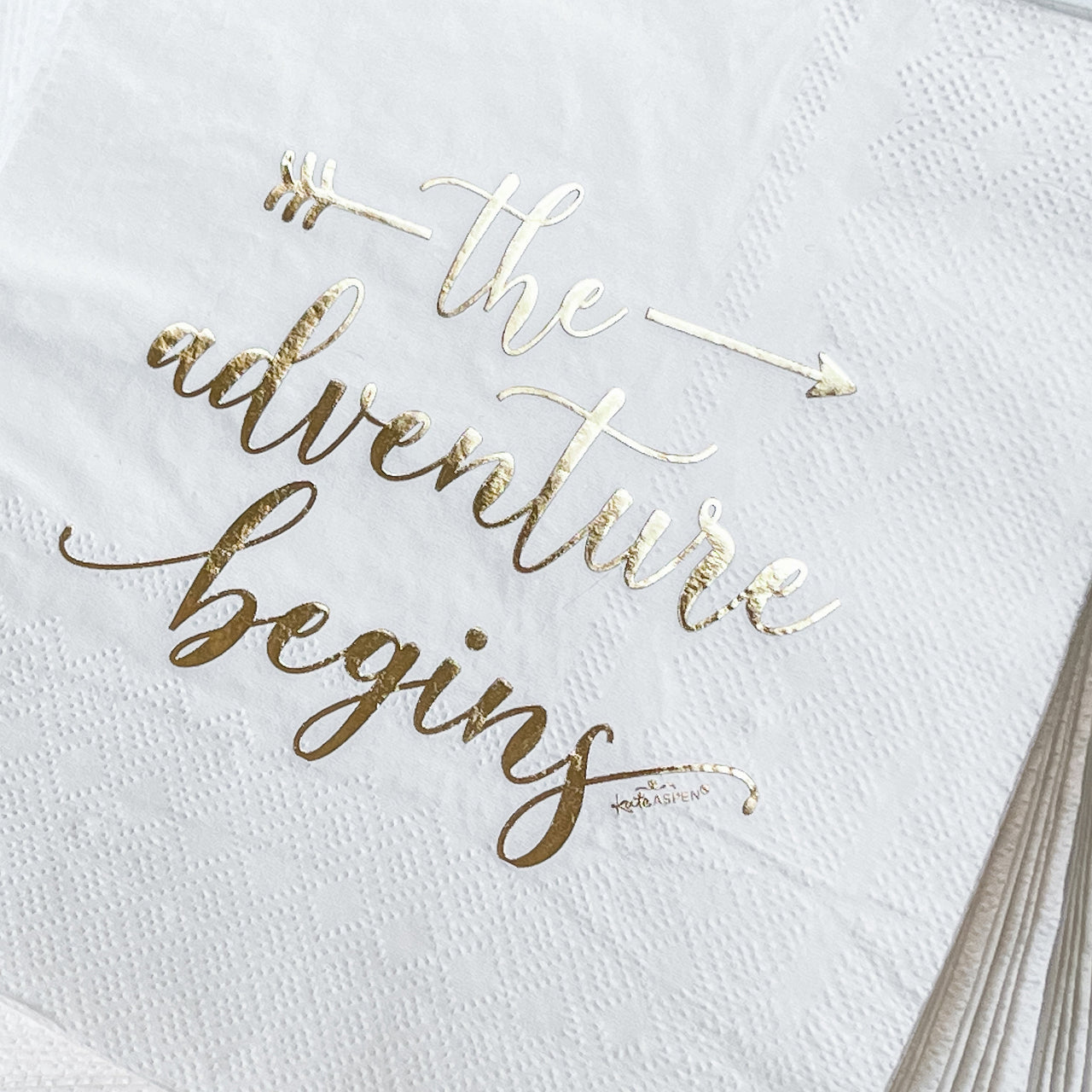 The Adventure Begins 72 Piece Party Tableware Set (24 Guests) - Alternate Image 5 | My Wedding Favors